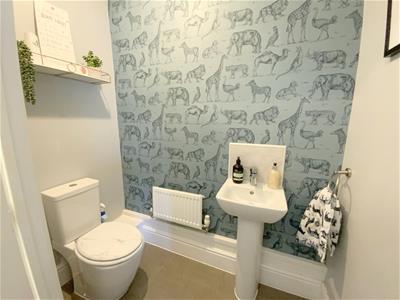 Picture 16